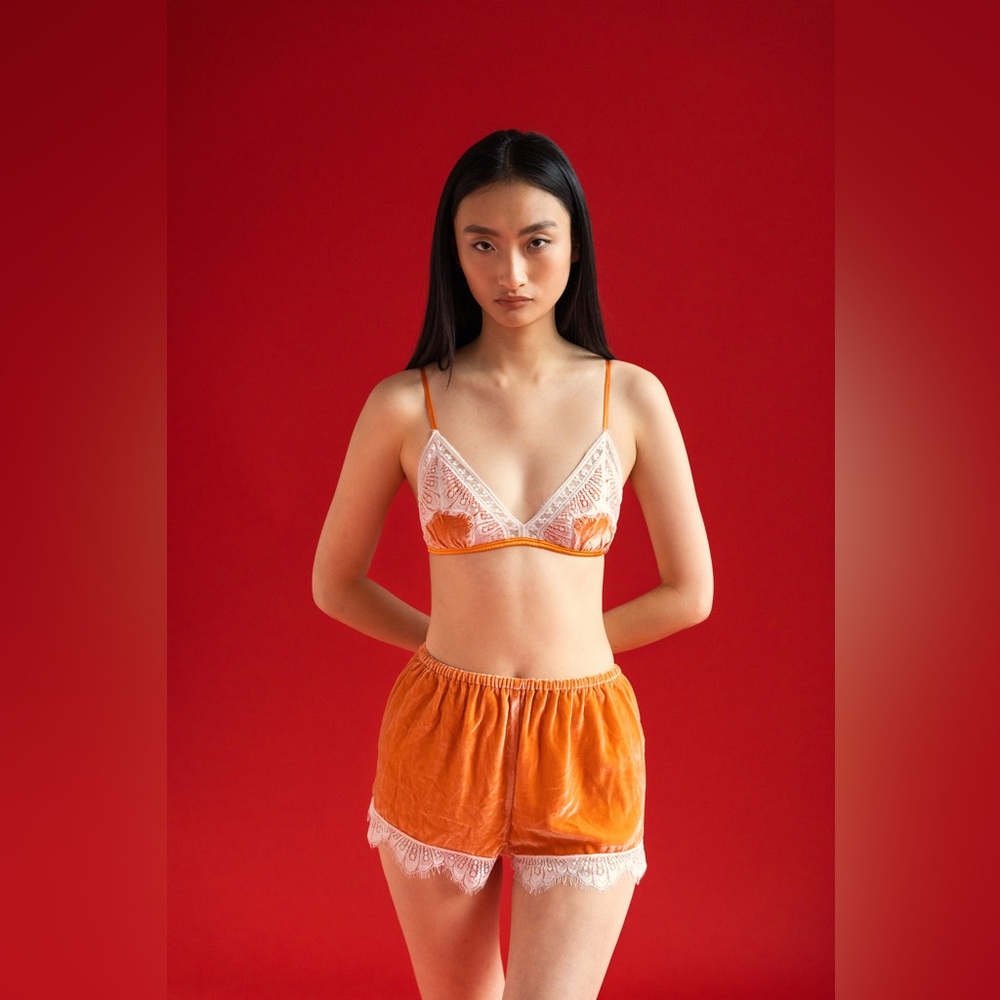 Sleeping with Jaques Julia Matching silk velvet lace lingerie set in peach - Picture 7 of 7